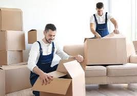Customers with moving boxes — Leoin Packers and Movers Bangalore